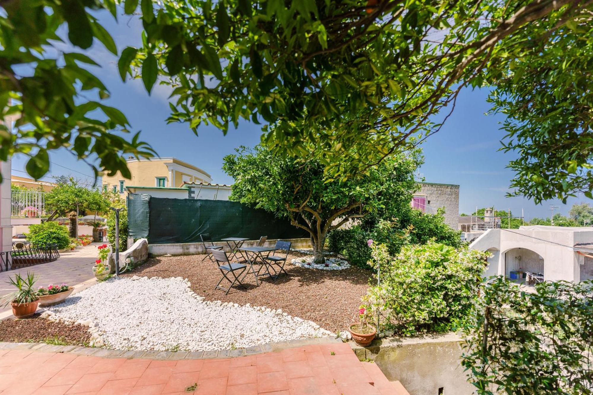 Le Jardin Panzió Procida Kültér fotó