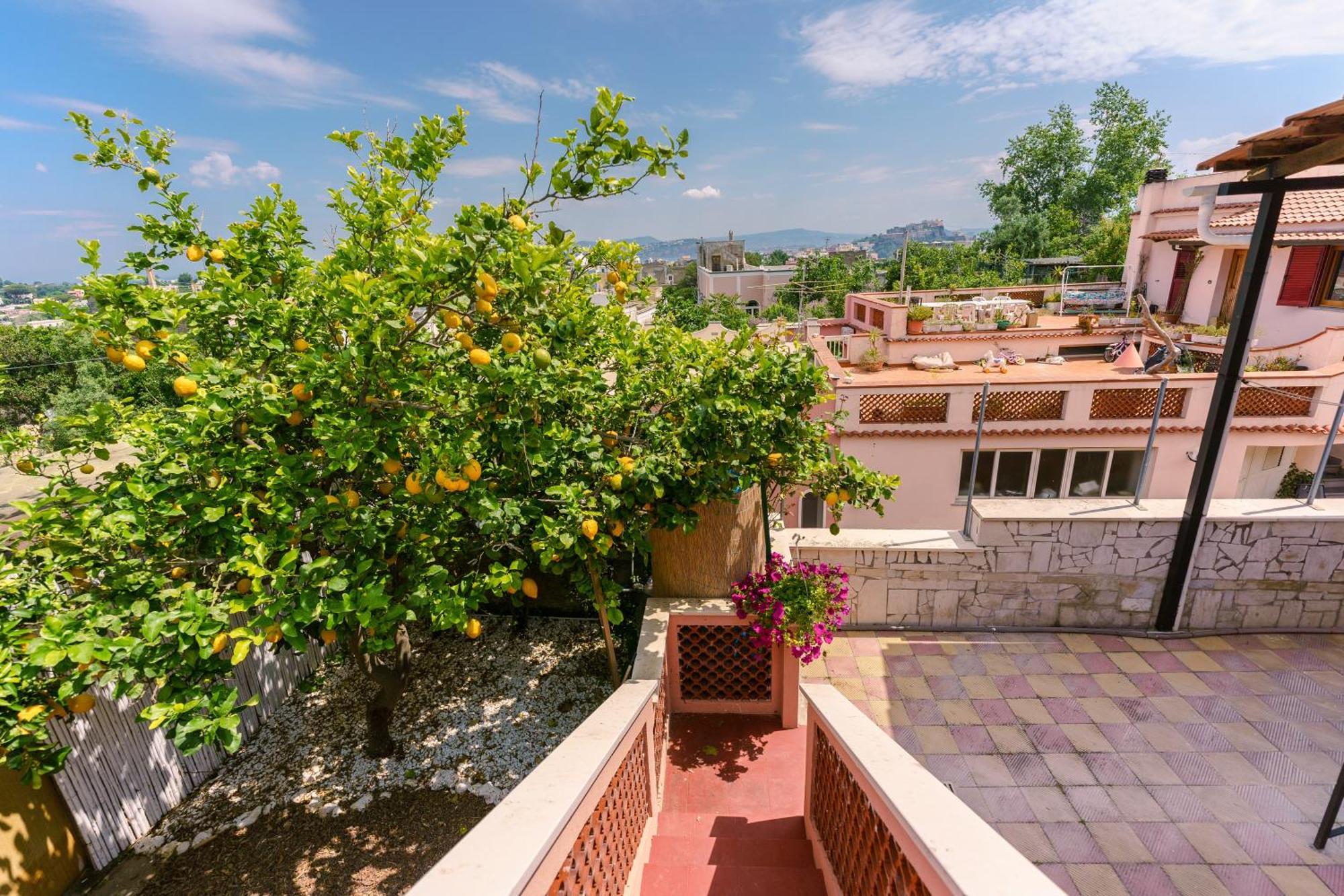 Le Jardin Panzió Procida Kültér fotó