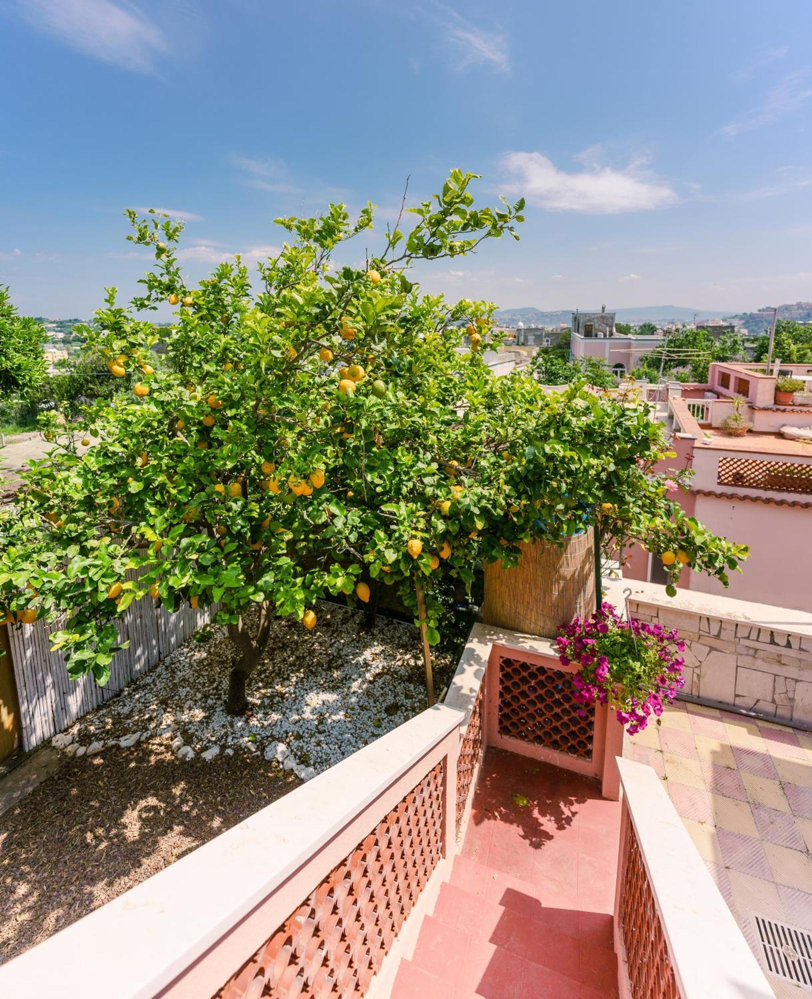 Le Jardin Panzió Procida Kültér fotó